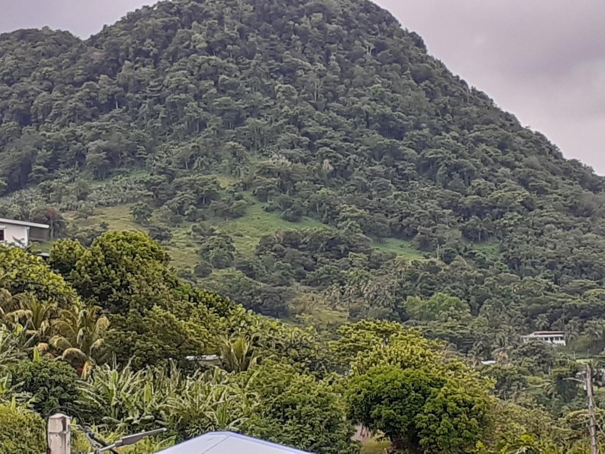Awmony'Kaz, Gite A Trois-Rivieres Guadeloupe Exterior photo